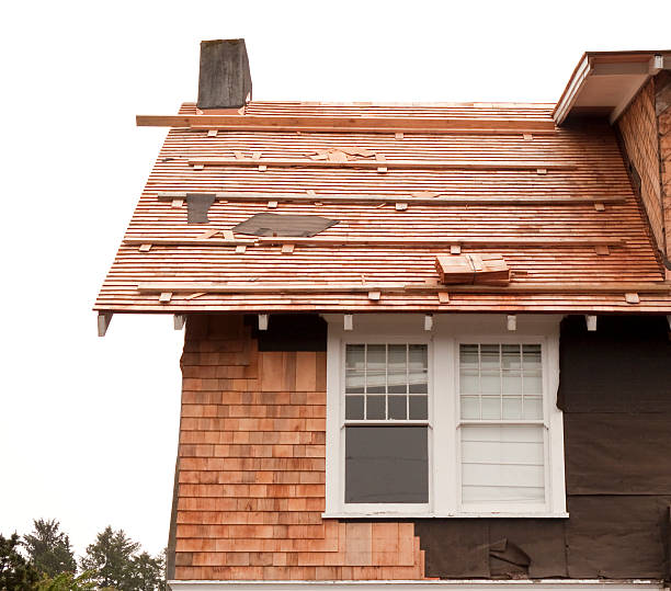 Affordable Siding Repair and Maintenance Services in Grandy, NC